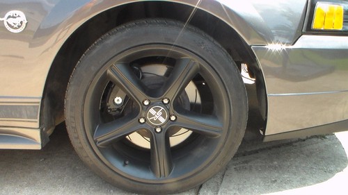 1994-2004 FORD MUSTANG FRONT BRAKE ROTOR DUST SHIELD KIT LH & RH SN95 PONY SALE - Picture 2 of 23
