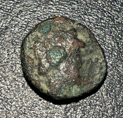 114-95 BC Greek Seleucid Empire Antiochus IX Eusebes Philopator AE 1/4 Unit Coin