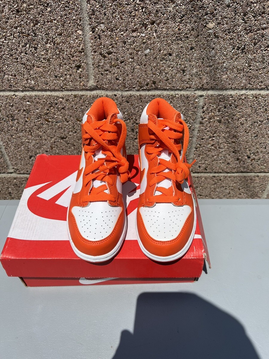 travis scott syracuse dunk