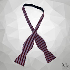 Beautiful Burgundy Blue Striped Adjustable Silk Self Bow Tie W:2.4" EX
