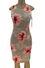 Calvin Klein Scuba Dress Womens 4 Taupe Pink Sheath Sleeveless Career Casual New