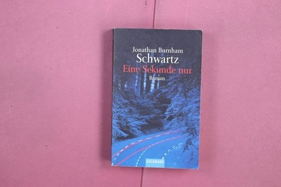 354768 John Burnham Schwartz EINE SEKUNDE NUR Goldmann