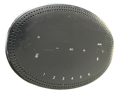 Bose 808429-1100 Home Speaker 300, with Alexa built-in, Black Mint