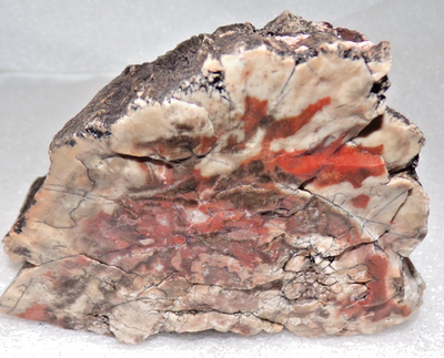 #ad Northern AZ Petrified Wood Small Half Round Agatized Pretty Colors $29.00