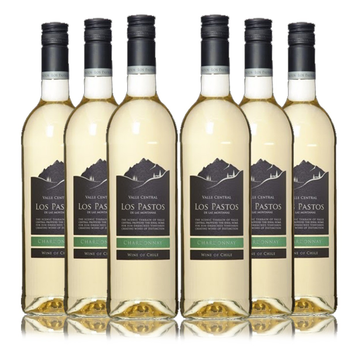 Los Pastos Chardonnay Wine (6 x 750ml - 13.5%)