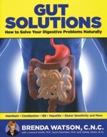 GUT SOLUTIONS: HOW TO SOLVE YOUR DIGESTIVE PROBLEMS By Brenda Leonard Smith VG