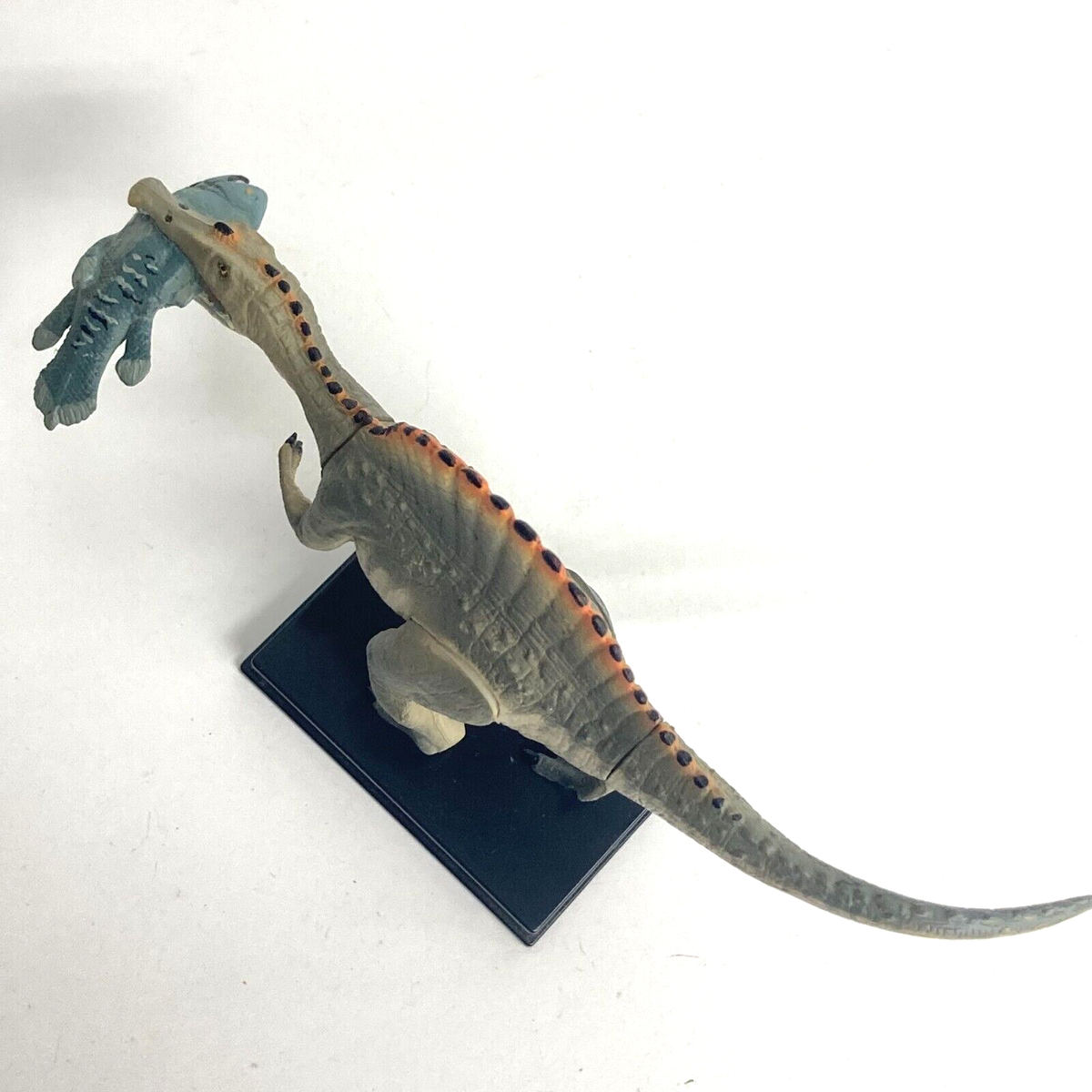 3D Capsule Encyclopedia Dinosaur Mini Figure Spinosaurus Takara