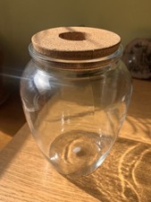 Glass Propagation Vase with Cork Stopper