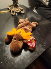 TY Beanie Baby Chocolate the Moose with tags