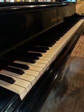 Mason & Hamlin Model BB Grand Piano 1920 Boston #29337