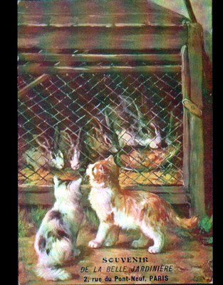 KATZE & KANINCHEN / SCHÖNER GÄRTNER in PARIS / illustriert Anfang 1900