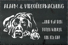 DEUTSCH KURZHAAR Hundewarnschild Hundeschild Warnschild SCHIEFER NEU #02