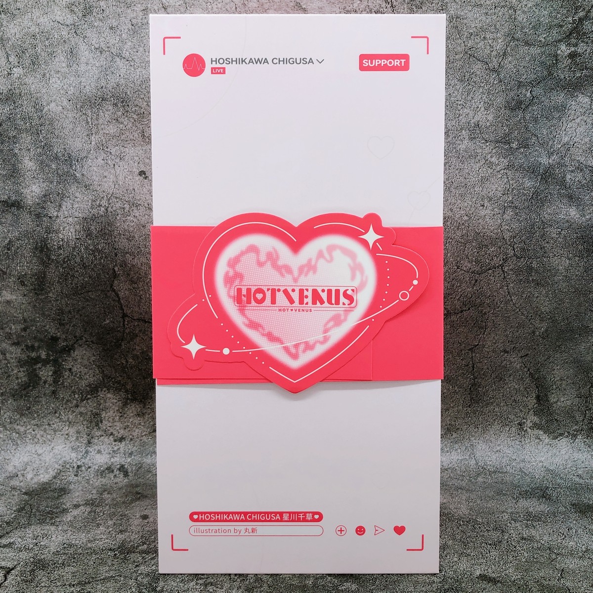 Chigusa Hoshikawa 1/6 Scale Figure HOTVENUS Native Japan AUTHENTIC