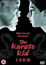 The Karate Kid Part: 1/2/3 DVD Ralph Macchio 2008 Free UK P&P Top-quality