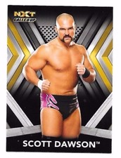 2017 Topps WWE NXT Scott Dawson