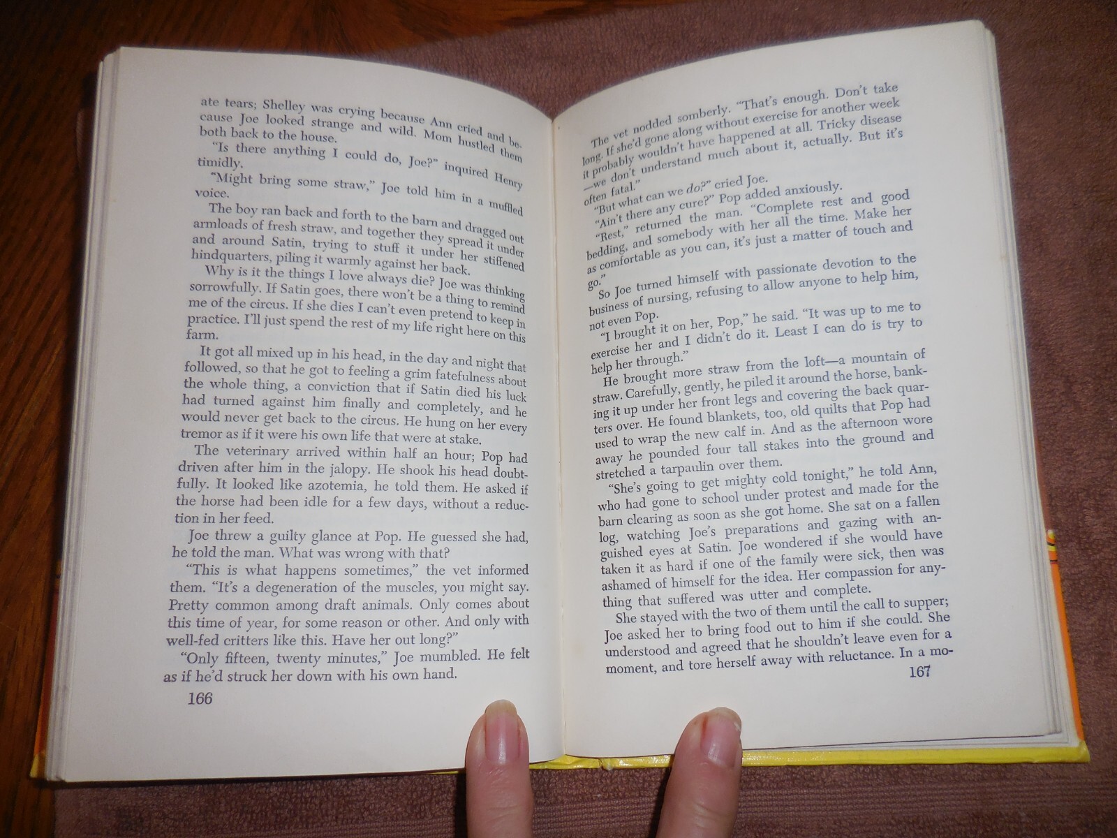 Sawdust In His Shoes Eloise Jarvis McGraw 1950 eBay