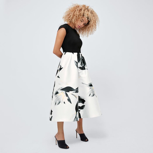 coast katerina fit and flare dress