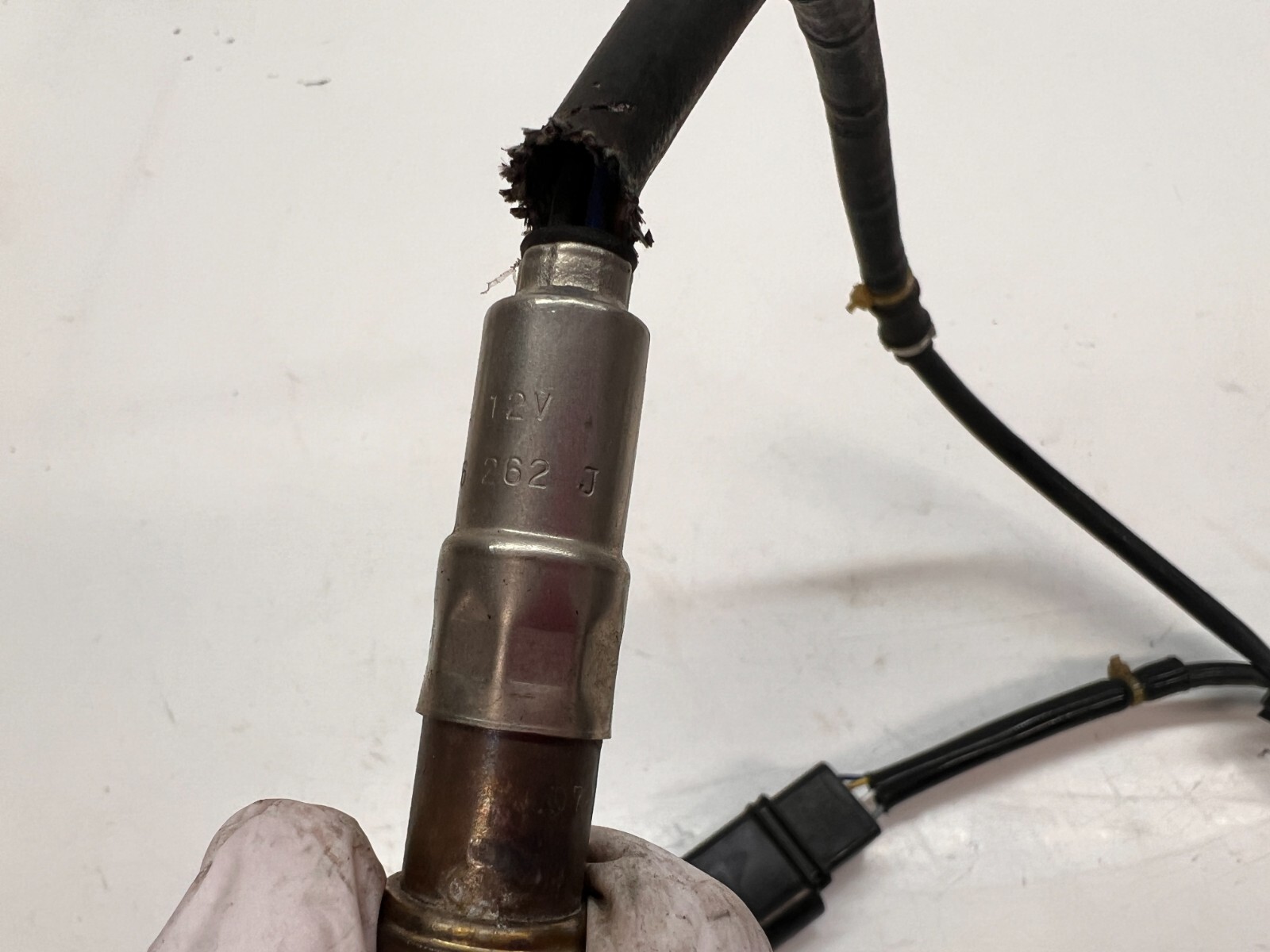 LAMBORGHINI MURCIELAGO LP640 FRONT O2 SENSOR TEMPERATURE PROBE OEM 036906262J
