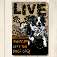 Border Collie Live Like Someone Left Gate Open, Door Open dog metal wall art