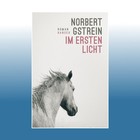 Im ersten Licht | Norbert Gstrein | Ungelesen