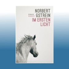 Im ersten Licht | Norbert Gstrein | Ungelesen