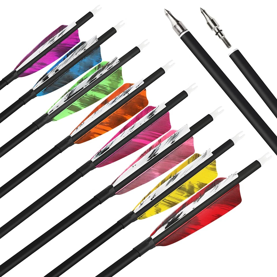 28" 30" 31" Carbon Arrows 4" Feather SP500 Archery Hunting Recurve Compound Bow  - Image 2 of 4