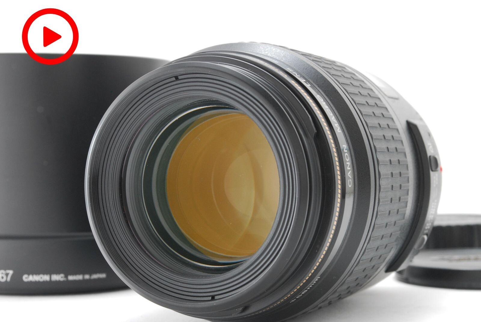 [Top MINT] Canon EF 100mm f/2.8 Macro USM AF Prime lens with Hood From JAPAN #71