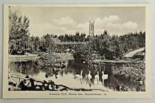 Crescent Park, Moose Jaw, Saskatchewan Canada White Border Postcard Unused 3317