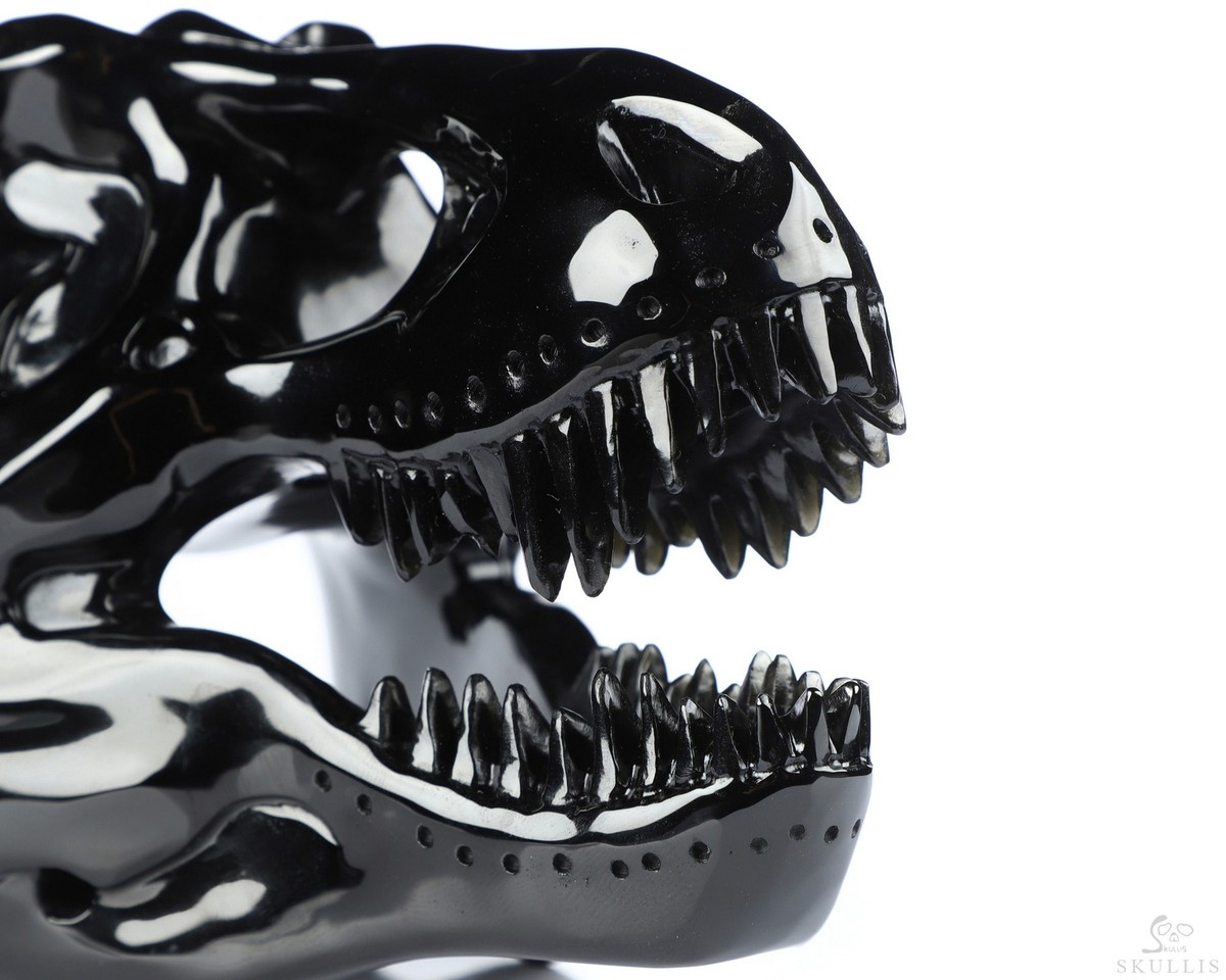 Crâne De Tyrannosaurus Rex Sculpté En Obsidienne Noire - 5.5 Pouces, Cristal De Guérison