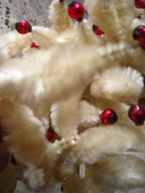 Picture 7 of 7