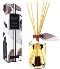 LOVSPA Reed Diffuser Set, Cinnamon & Clove Buds Scented Oil Diffuser with Sticks