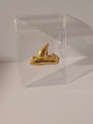 24k Gold Leaf Plated Otodus Obliquus Shark Tooth Fossil Casting