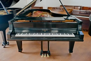 Download Buttonbass For Pc For Free Windows