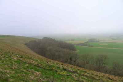 Photo 6x4 Truncombe Wood Kingston Deverill The wood nestles in a fold of  c2022