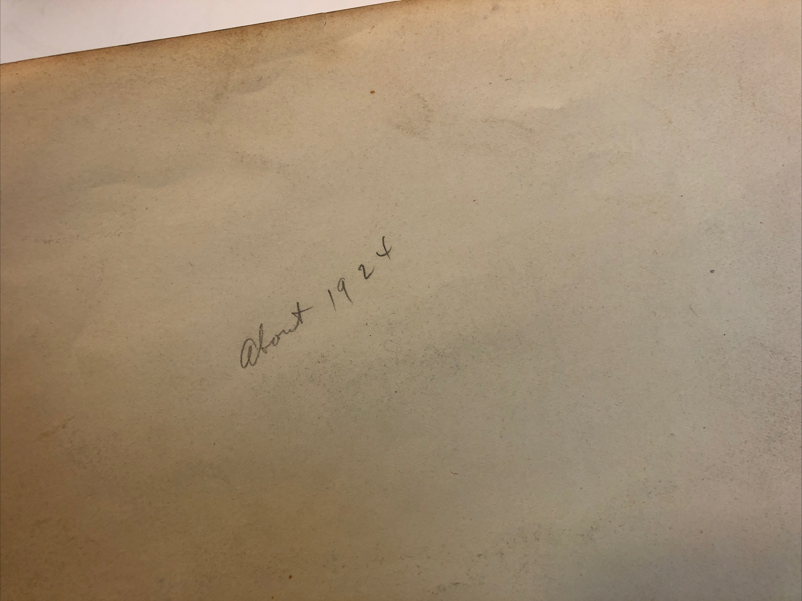 1920s A.F. WALKER Display Window Sunkist Orange Poultry Photo ROCHESTER NY 8x10