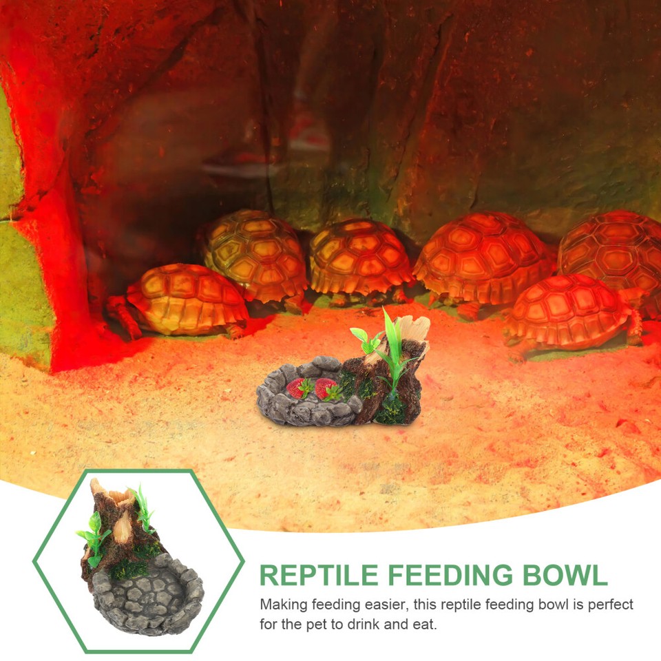 Turtle Birdbath Resin Reptisoil Gecko Feeding Ledge Geckos Mealworm