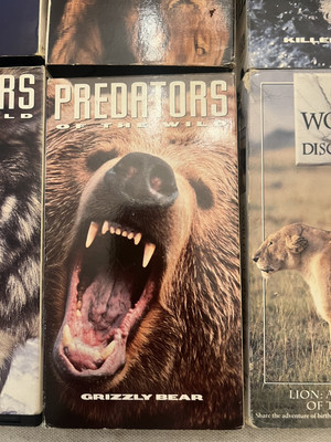 Time Life Predators Of The Wild VHS Set Of 6 | eBay
