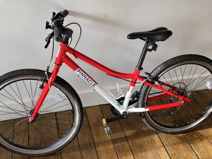 pinnacle aspen 24 bike