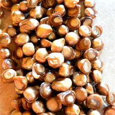 10 - 12mm light brown Flatback blister nugget Freshwater Pearl Beads 40 beads