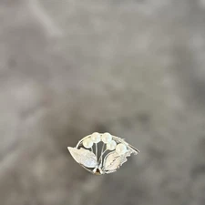 Silver Flower Brooches Set 5pcs Cute Jewelry  Duty Paid or Reimbursed