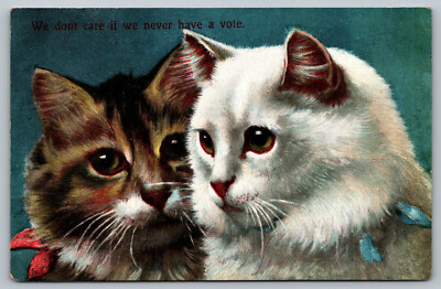 Postcard We Dont Care If We Never Have A Vote Cats Talking Kittens Speaking