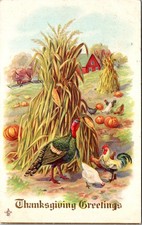 Postcard Thanksgiving Turkey Chickens Corn Shocks Farm Scene