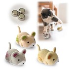 Hamster Teaser That Escapes Cats Catching Mouse Game Interactive Cat Toy Quir...