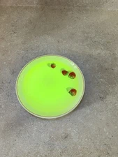 WS George Cavitt Shaw Strawberry Shortcake Plate 1930 Uranium Glazed Vintage