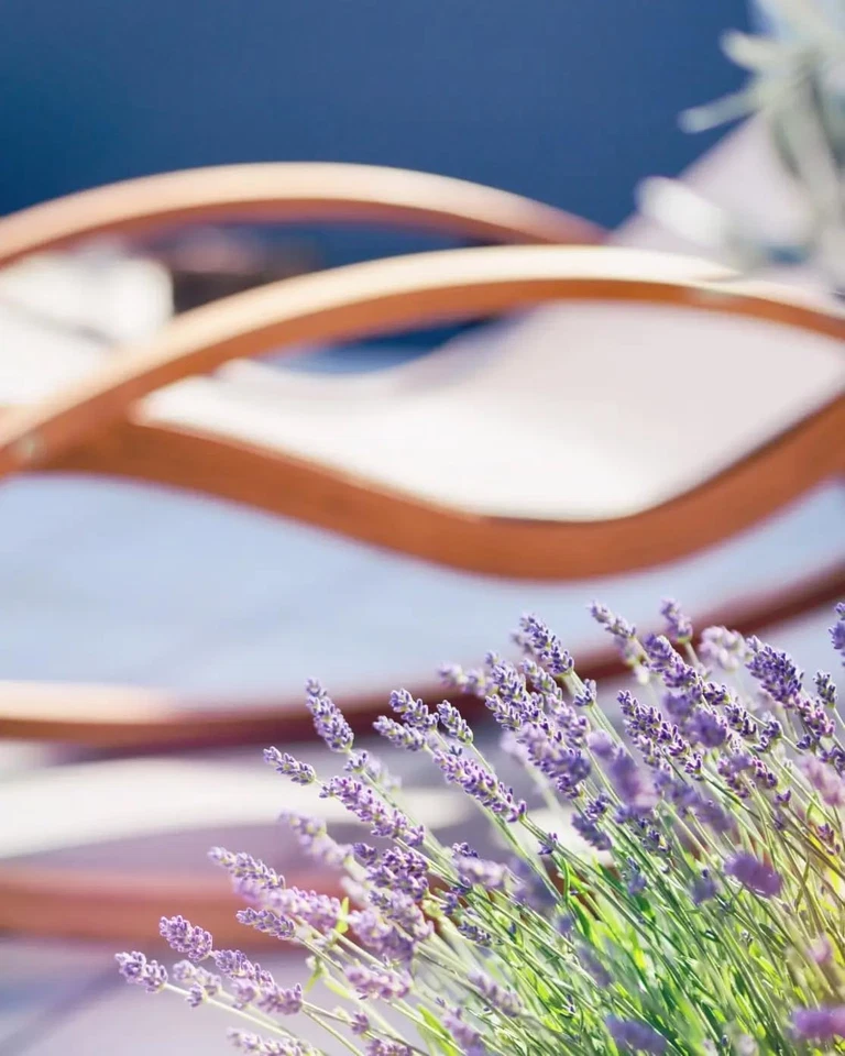 – Vino Bianco Analcolico, Chardonnay Fresco E Morbido (6 X 1 L) - Immagine 4 di 4