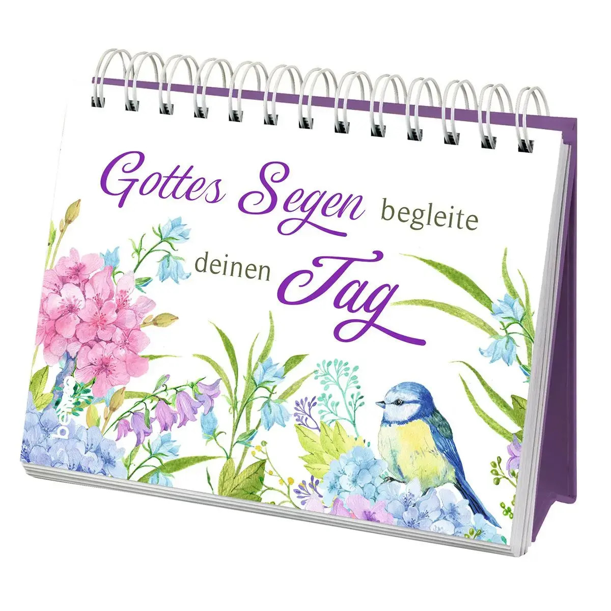 Gottes Segen begleite deinen Tag | Irische Segenswünsche zum Geburtstag | Buch