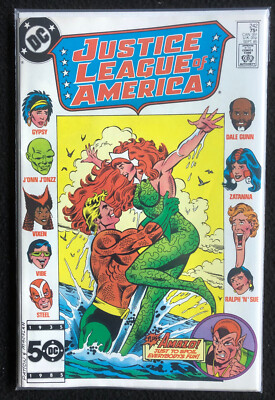 JLA JUSTICE LEAGUE OF AMERICA Vol. 1   Battle Cry   No. 242   US DC Comic Heft