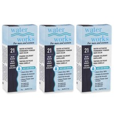 Water Works Permanent Powder Hair Color 21 Blue Black 6 Pack 