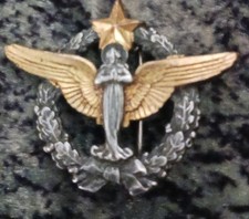 PMI Pilgrimage Pilots Air Force HOURDES fab ARTHUS BERTRAND late 1960