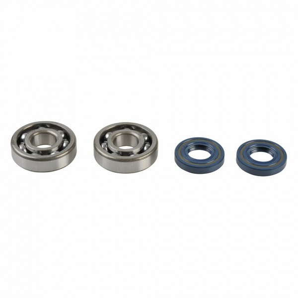 Fits ATHENA P400250444082 Crankshaft main bearing P400250444082 fits  ⭐UK Stock⭐